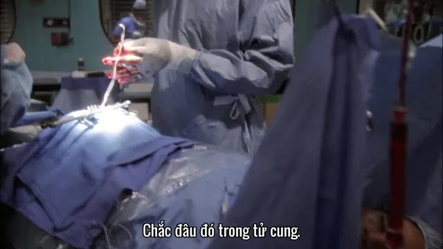 Xem phim Phòng Cấp Cứu (Phần 2) Vietsub HD tại TVHay Xem phim Phòng Cấp Cứu (Phần 2) Vietsub HD tại TVHay