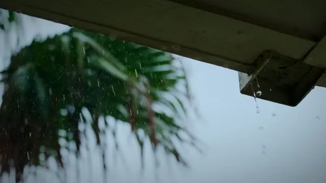 Xem phim Người yêu cũ tệ nhất (Phần 1) Vietsub HD tại TVHay Xem phim Người yêu cũ tệ nhất (Phần 1) Vietsub HD tại TVHay