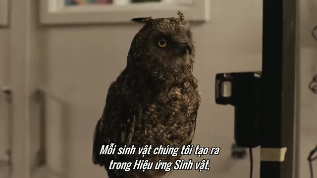 Hình ảnh trong phim Finding Harry: The Craft Behind the Magic trên TVHay Hình ảnh trong phim Finding Harry: The Craft Behind the Magic trên TVHay