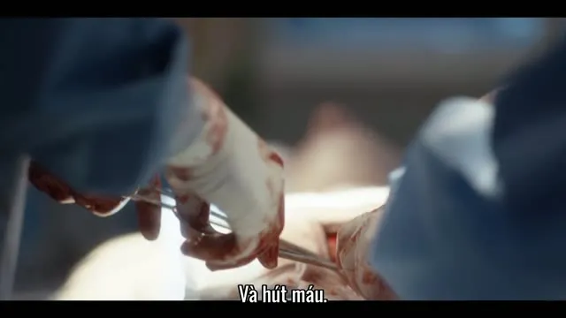 Xem phim Kẻ Du Hành (Phần 2) Vietsub HD tại TVHay Xem phim Kẻ Du Hành (Phần 2) Vietsub HD tại TVHay