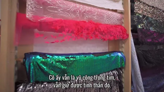 Hình ảnh Sống Chất (Phần 9) tập 2 trên TVHay Hình ảnh Sống Chất (Phần 9) tập 2 trên TVHay