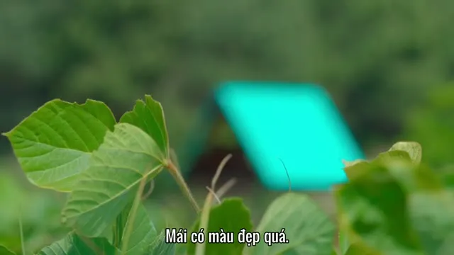 Hình ảnh trong phim Địa Ngục Độc Thân (Phần 2) trên TVHay Hình ảnh trong phim Địa Ngục Độc Thân (Phần 2) trên TVHay