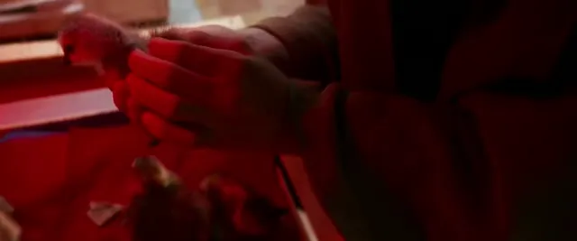 Xem phim Cậu Bé Và Đàn Ngỗng Vietsub HD tại TVHay Xem phim Cậu Bé Và Đàn Ngỗng Vietsub HD tại TVHay