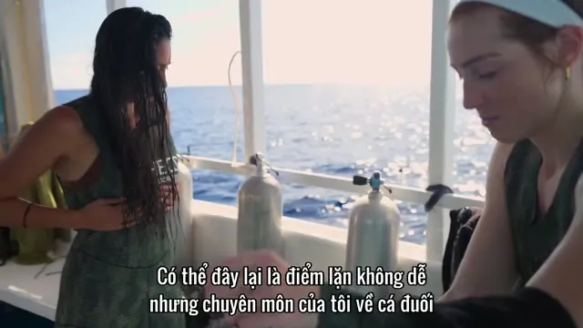 Đi Tìm Cá Mập 2025 Vietsub HD - TVHay Đi Tìm Cá Mập 2025 Vietsub HD - TVHay