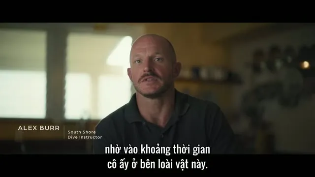 Hình ảnh trong phim Người Bạn Của Cá Mập trên TVHay Hình ảnh trong phim Người Bạn Của Cá Mập trên TVHay