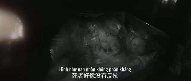 Dạ Hành Pháp Y 2025 Vietsub HD - TVHay Dạ Hành Pháp Y 2025 Vietsub HD - TVHay