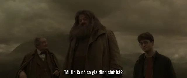 Harry Potter và Hoàng Tử Lai 2009 Vietsub HD - TVHay Harry Potter và Hoàng Tử Lai 2009 Vietsub HD - TVHay
