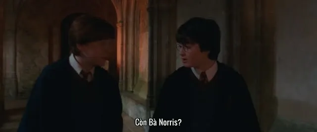 Harry Potter và Căn Phòng Bí Mật 2002 Vietsub HD - TVHay Harry Potter và Căn Phòng Bí Mật 2002 Vietsub HD - TVHay