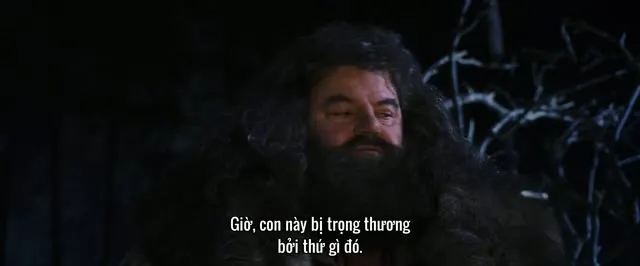 Harry Potter và Hòn Đá Phù Thủy 2001 Vietsub HD - TVHay Harry Potter và Hòn Đá Phù Thủy 2001 Vietsub HD - TVHay