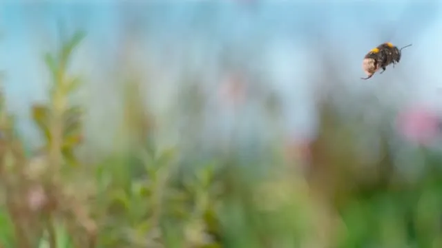 Thế Giới Siêu Nhỏ (Phần 2) 2021 Vietsub HD - TVHay Thế Giới Siêu Nhỏ (Phần 2) 2021 Vietsub HD - TVHay