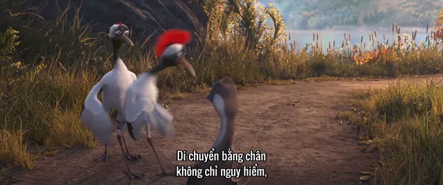 Xem phim Ngỗng Vịt Phiêu Lưu Ký Vietsub + Lồng Tiếng HD tại TVHay Xem phim Ngỗng Vịt Phiêu Lưu Ký Vietsub + Lồng Tiếng HD tại TVHay