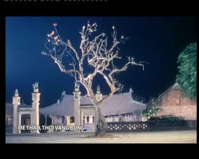 Mê Thảo Thời Vang Bóng 2002 Vietsub HD - TVHay Mê Thảo Thời Vang Bóng 2002 Vietsub HD - TVHay
