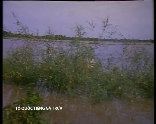 Tổ Quốc Tiếng Gà Trưa 1996 Vietsub HD - TVHay Tổ Quốc Tiếng Gà Trưa 1996 Vietsub HD - TVHay
