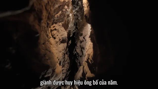 Hình ảnh trong phim Ẩn Số Trái Đất: Hang Hài Cốt trên TVHay Hình ảnh trong phim Ẩn Số Trái Đất: Hang Hài Cốt trên TVHay