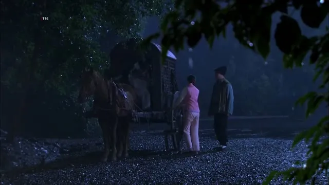 Hoa Trong Bão 2014 Vietsub HD - TVHay Hoa Trong Bão 2014 Vietsub HD - TVHay