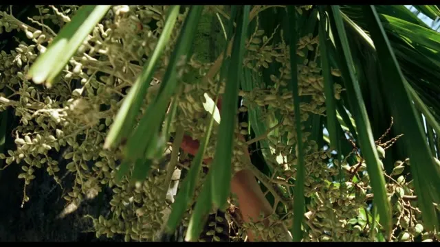 Xích lô 1996 Vietsub HD - TVHay Xích lô 1996 Vietsub HD - TVHay