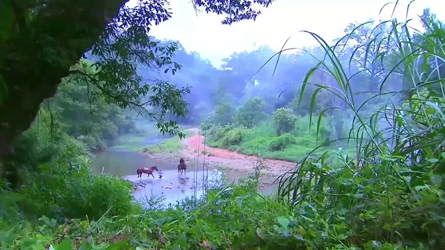 Hình ảnh trong phim Lộc Đỉnh Ký trên TVHay Hình ảnh trong phim Lộc Đỉnh Ký trên TVHay