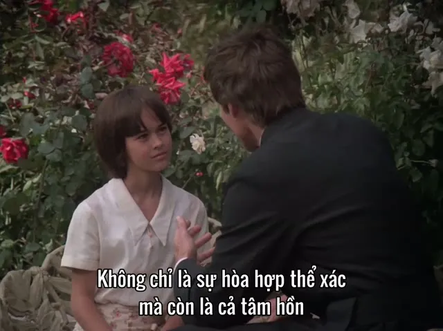 Tiếng Chim Hót Trong Bụi Mận Gai 1983 Vietsub HD - TVHay Tiếng Chim Hót Trong Bụi Mận Gai 1983 Vietsub HD - TVHay