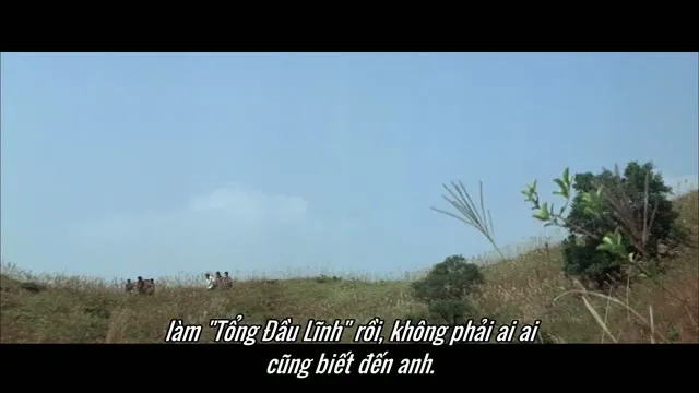 Xem phim Xã Hội Đen 1 Vietsub HD tại TVHay Xem phim Xã Hội Đen 1 Vietsub HD tại TVHay