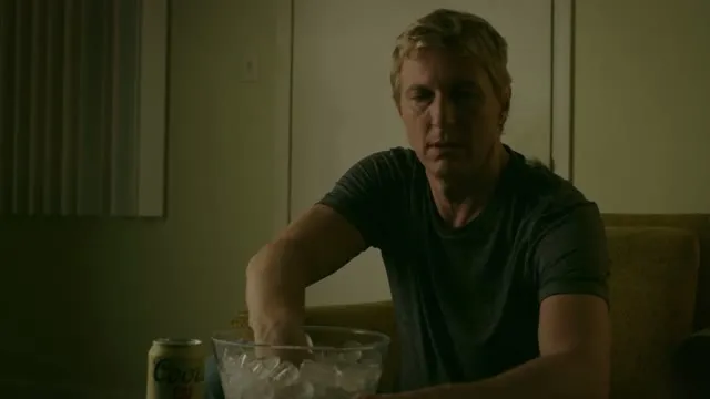 Xem phim Võ Đường Cobra Kai (Phần 2) Vietsub HD tại TVHay Xem phim Võ Đường Cobra Kai (Phần 2) Vietsub HD tại TVHay