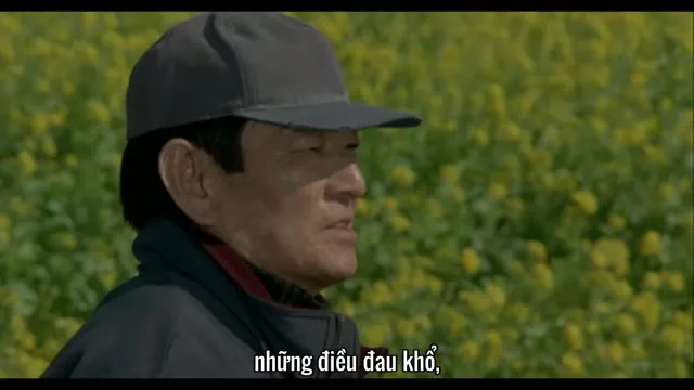 Đom Đóm 2001 Vietsub HD - TVHay Đom Đóm 2001 Vietsub HD - TVHay