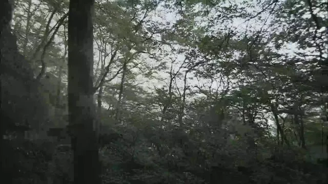 Tây Du Ký : Cuộc Phiêu Lưu Của Siêu Khỉ 2006 Vietsub HD - TVHay Tây Du Ký : Cuộc Phiêu Lưu Của Siêu Khỉ 2006 Vietsub HD - TVHay