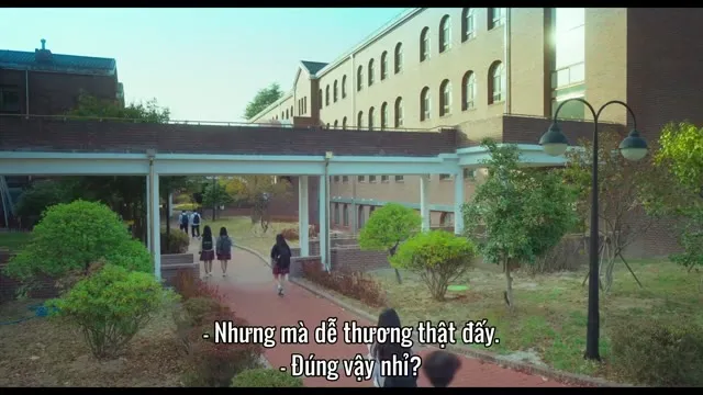 Ngày Tuyệt Vời Để Trở Thành Cún 2023 Vietsub HD - TVHay Ngày Tuyệt Vời Để Trở Thành Cún 2023 Vietsub HD - TVHay