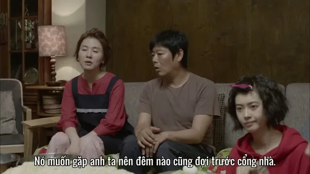 Xem phim Lời Hồi Đáp 1994 Vietsub HD tại TVHay Xem phim Lời Hồi Đáp 1994 Vietsub HD tại TVHay