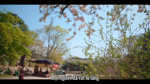 Xem phim Hoa Nở Về Đêm Vietsub + Thuyết Minh HD tại TVHay Xem phim Hoa Nở Về Đêm Vietsub + Thuyết Minh HD tại TVHay