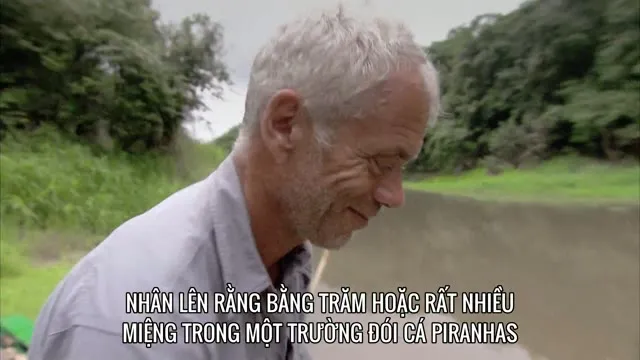Xem phim Thủy Quái (Phần 1) Vietsub HD tại TVHay Xem phim Thủy Quái (Phần 1) Vietsub HD tại TVHay