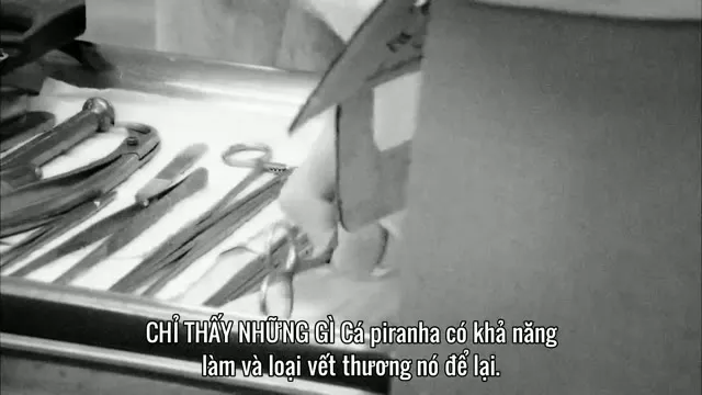 Hình ảnh trong phim Thủy Quái (Phần 1) trên TVHay Hình ảnh trong phim Thủy Quái (Phần 1) trên TVHay