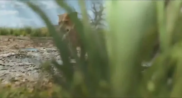 Xem phim Mufasa: Vua Sư Tử Vietsub HD tại TVHay Xem phim Mufasa: Vua Sư Tử Vietsub HD tại TVHay