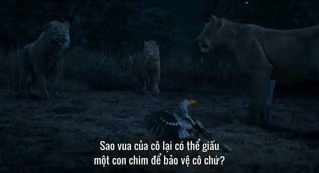 Hình ảnh trong phim Mufasa: Vua Sư Tử trên TVHay Hình ảnh trong phim Mufasa: Vua Sư Tử trên TVHay