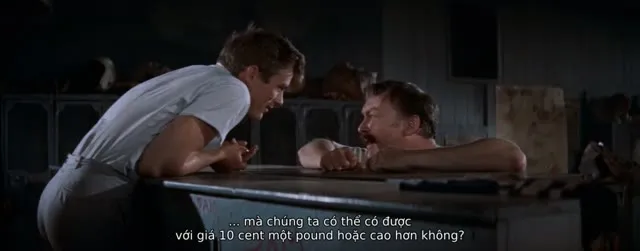 Hình ảnh trong phim Phía Đông Vườn Địa Đàng trên TVHay Hình ảnh trong phim Phía Đông Vườn Địa Đàng trên TVHay