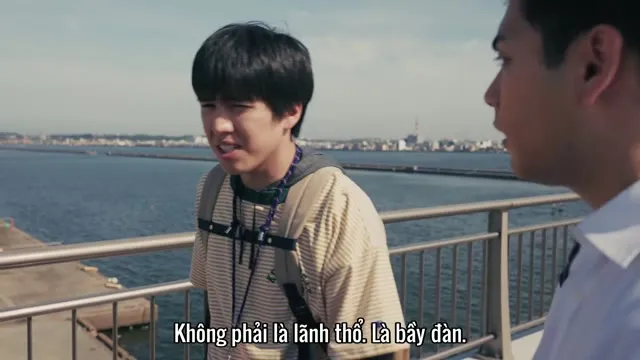 Xem phim Nhà Của Bé Sư Tử Vietsub HD tại TVHay Xem phim Nhà Của Bé Sư Tử Vietsub HD tại TVHay