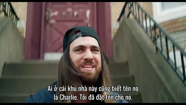 Xem phim Chú chó Bruno Vietsub HD tại TVHay Xem phim Chú chó Bruno Vietsub HD tại TVHay