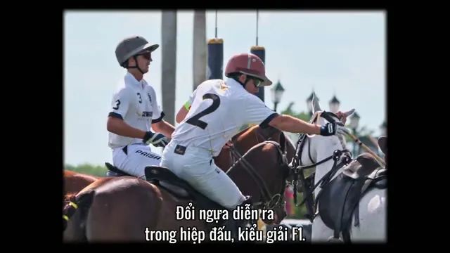 Xem phim Polo Vietsub HD tại TVHay Xem phim Polo Vietsub HD tại TVHay