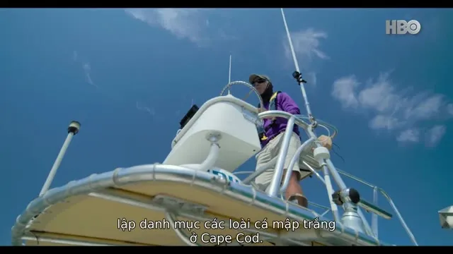 Xem phim Sau Cú Đớp Vietsub HD tại TVHay Xem phim Sau Cú Đớp Vietsub HD tại TVHay