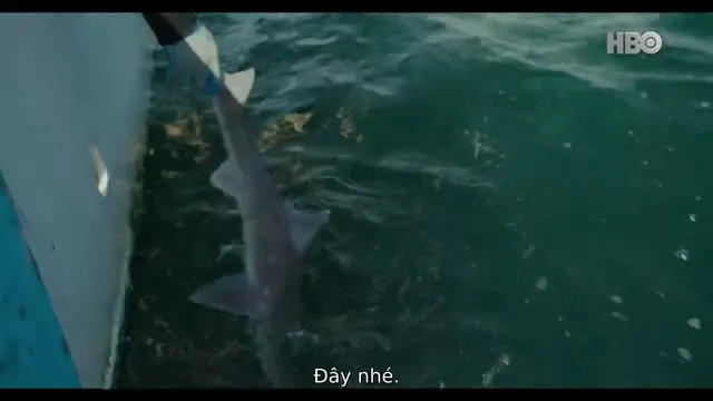 Hình ảnh trong phim Sau Cú Đớp trên TVHay Hình ảnh trong phim Sau Cú Đớp trên TVHay
