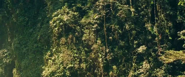 Mùa Thu Và Báo Đốm Đen 2024 Vietsub HD - TVHay Mùa Thu Và Báo Đốm Đen 2024 Vietsub HD - TVHay