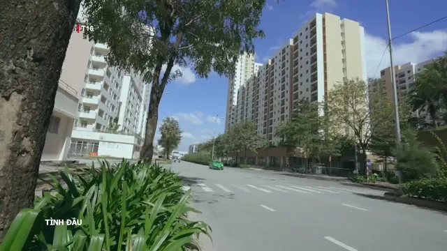 Xem phim Tình Đầu Vietsub HD tại TVHay Xem phim Tình Đầu Vietsub HD tại TVHay