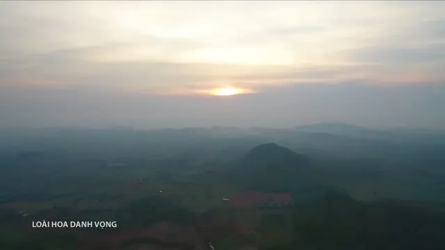 Xem phim Loài Hoa Danh Vọng Vietsub HD tại TVHay Xem phim Loài Hoa Danh Vọng Vietsub HD tại TVHay