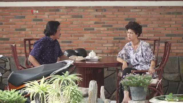 Gió Ngược 2023 Vietsub HD - TVHay Gió Ngược 2023 Vietsub HD - TVHay