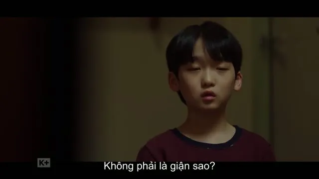 Xem phim Chọn Làm Người Một Nhà Vietsub HD tại TVHay Xem phim Chọn Làm Người Một Nhà Vietsub HD tại TVHay