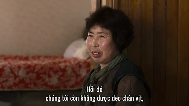 Xem phim Những Nữ Thợ Lặn Cuối Cùng Vietsub HD tại TVHay Xem phim Những Nữ Thợ Lặn Cuối Cùng Vietsub HD tại TVHay