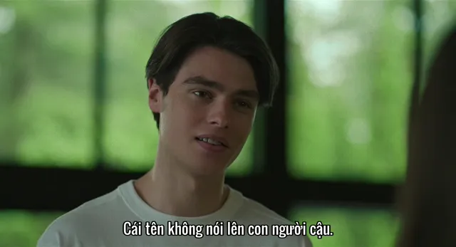 Xem phim Bầy Rùa Vô Tận Vietsub HD tại TVHay Xem phim Bầy Rùa Vô Tận Vietsub HD tại TVHay