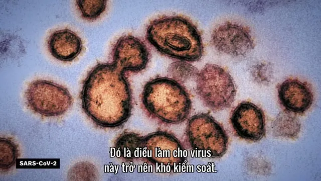 Xem phim Giải Mã Virus Corona Vietsub HD tại TVHay Xem phim Giải Mã Virus Corona Vietsub HD tại TVHay