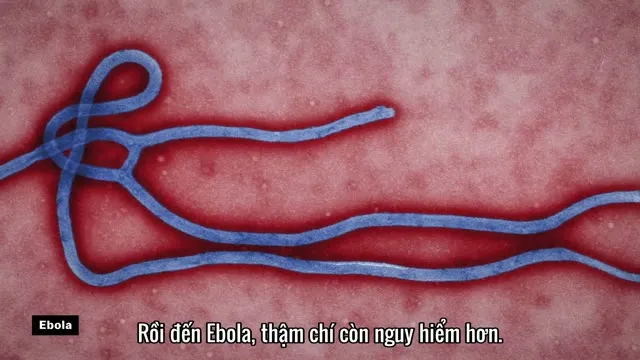 Hình ảnh trong phim Giải Mã Virus Corona trên TVHay Hình ảnh trong phim Giải Mã Virus Corona trên TVHay