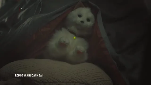 Romeo Và Chúc Anh Đài 2023 Vietsub HD - TVHay Romeo Và Chúc Anh Đài 2023 Vietsub HD - TVHay