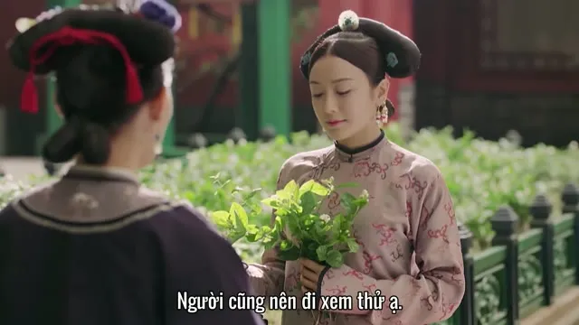 Xem phim Diên Hi Công Lược Vietsub + Lồng Tiếng HD tại TVHay Xem phim Diên Hi Công Lược Vietsub + Lồng Tiếng HD tại TVHay